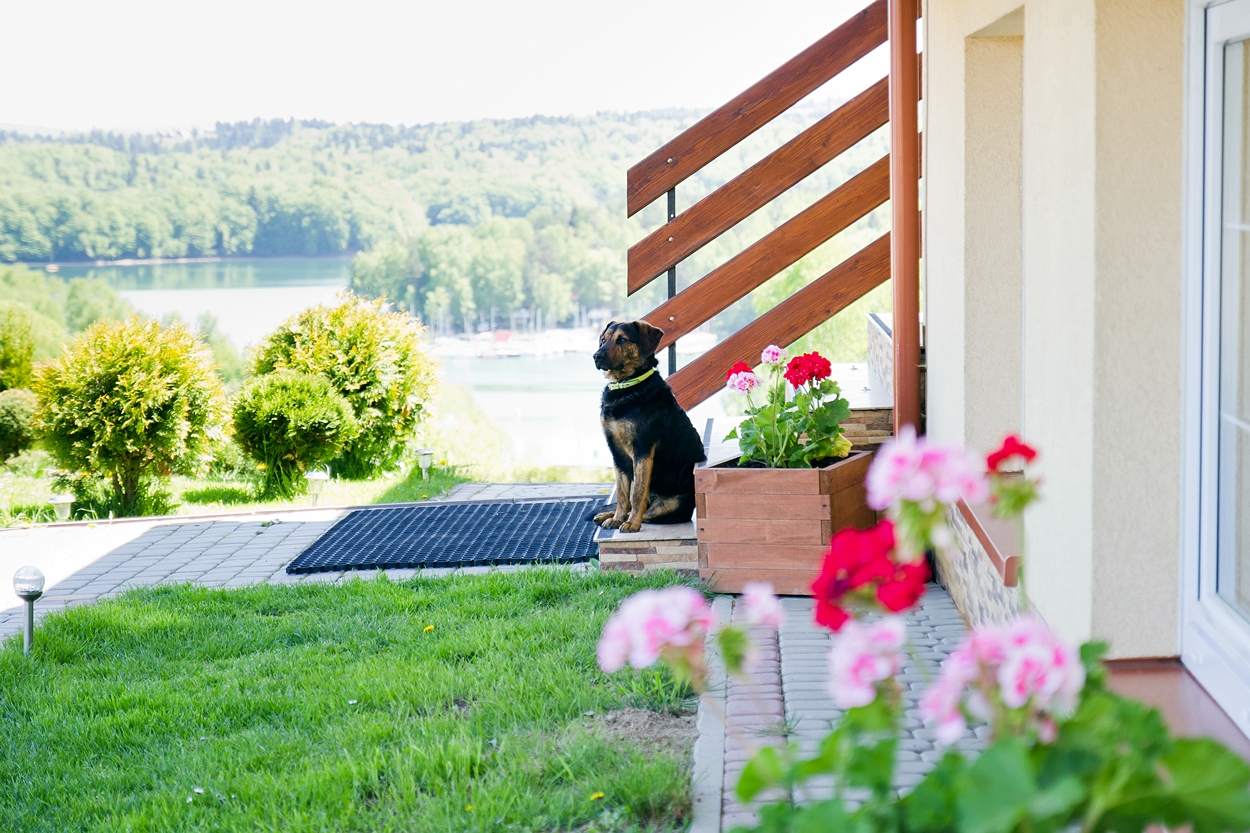 Domek wypoczynkowy w Solinie